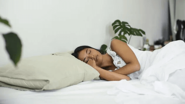 Is NAD the Sleep and Circadian Rhythms Supplement You’ve Been Searching for?(图1)